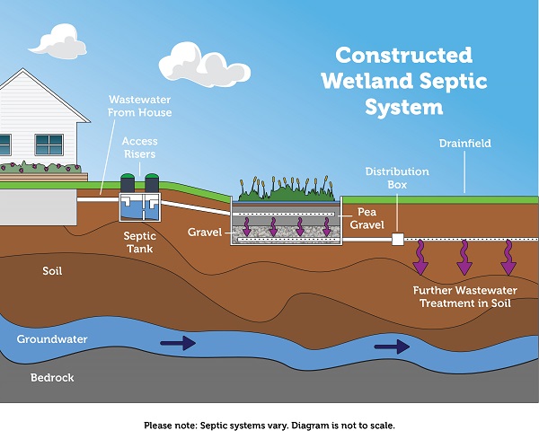 Constructed Wetland Septic System