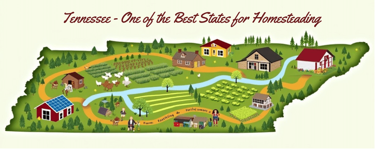 Best States for Homesteading